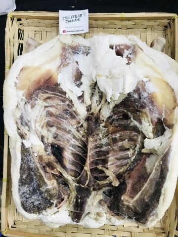 Kuru Yolum Kars Kazı (3-3,5kg)